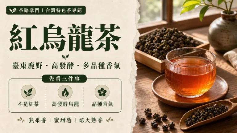 紅烏龍茶是什麼？先懂臺東鹿野、高發酵與不同品種香氣