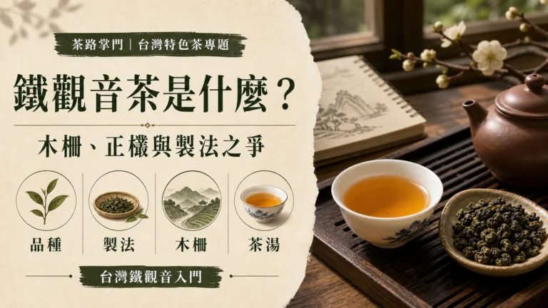 鐵觀音茶是什麼？先看木柵鐵觀音、正欉與製法之爭