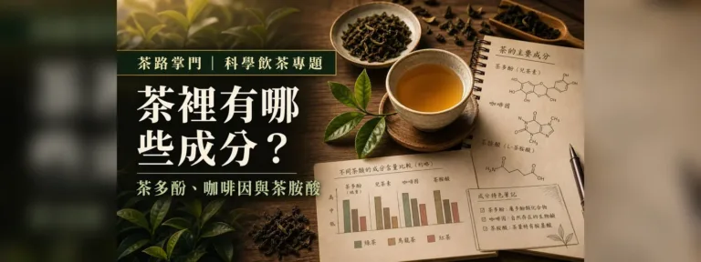 茶裡有哪些成分？先懂茶多酚、咖啡因與茶胺酸