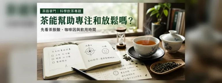 茶能幫助專注和放鬆嗎？先看茶胺酸、咖啡因與飲用時間