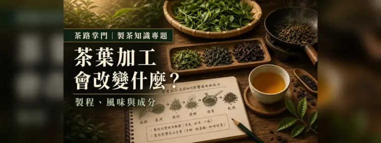 茶葉加工會改變什麼？先懂殺菁、氧化、焙火與成分