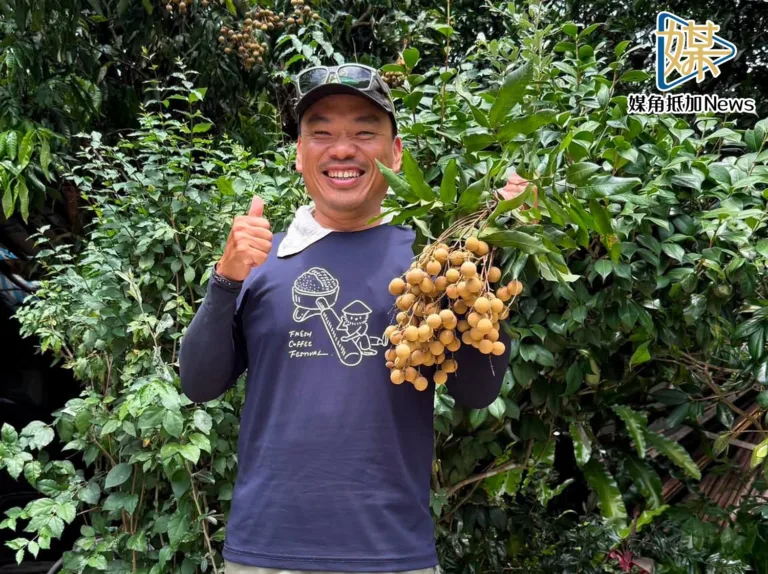 媒角／青農夢別急著辭職　楊儒門籲先下田試