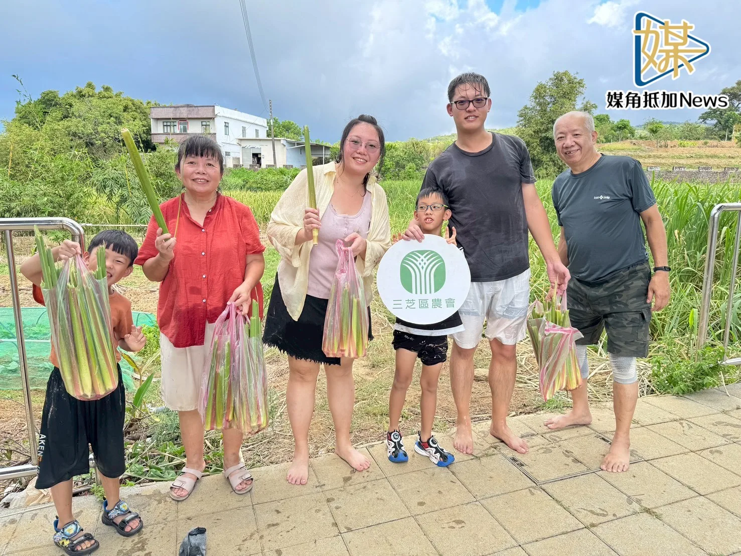 三芝茭白筍小旅行　藝遊田間體驗農村魅力