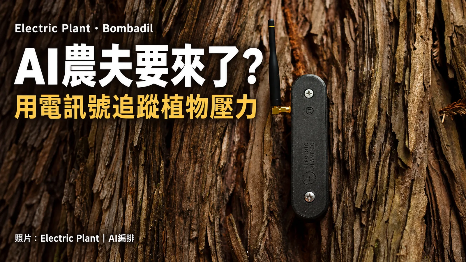 AI農夫要來了？Electric Plant用電訊號追蹤植物壓力